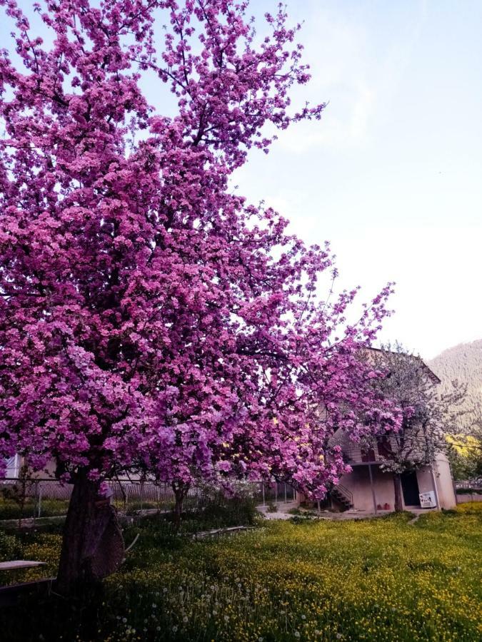فندق Saba ميستيا المظهر الخارجي الصورة
